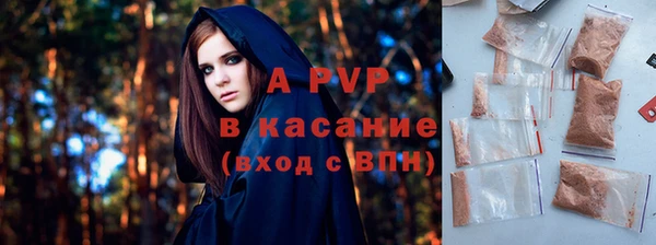 индика Баксан