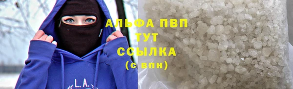 индика Баксан