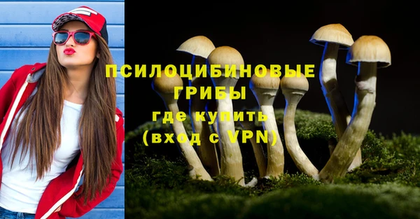 индика Баксан