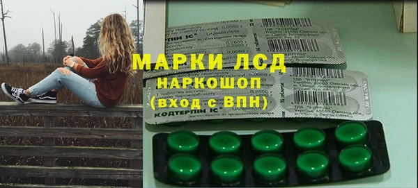 индика Баксан
