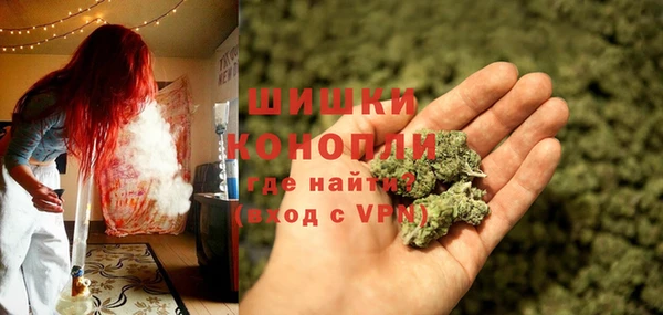 индика Баксан