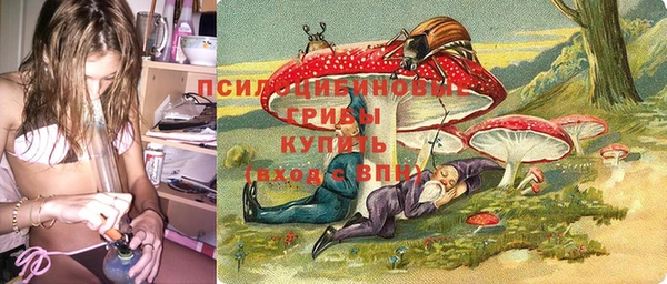 индика Баксан