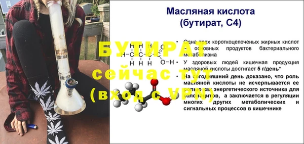 индика Баксан