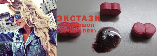 индика Баксан